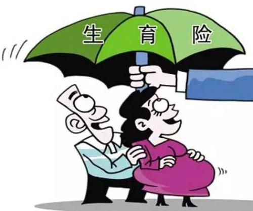 女性生育保險能報多少錢？ 第1張