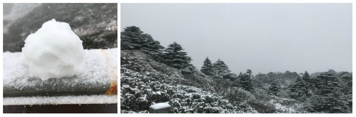 風(fēng)花雪月瑞方情，萬水千山大理行 第6張