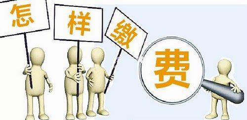什么公司可以代繳養(yǎng)老保險？ 第1張